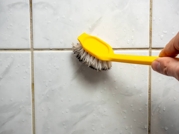 Best Mold Cleaning Services  in Fritz Creek, AK