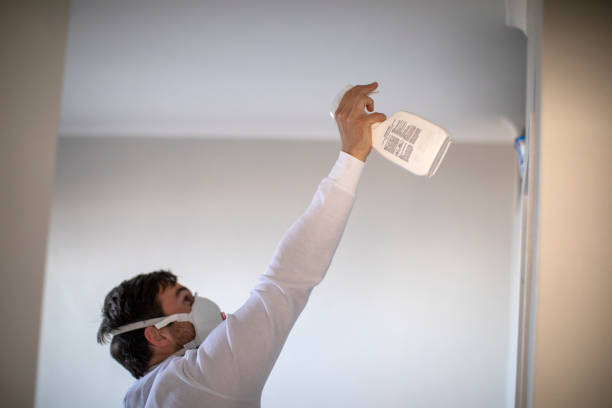 Best Mold Removal Company Near Me  in Fritz Creek, AK